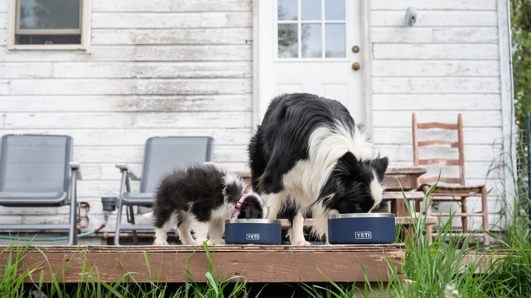 Yeti dog products: Boomer Bowls